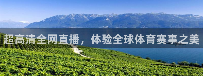 超高清全网直播，体验全球体育赛事之美