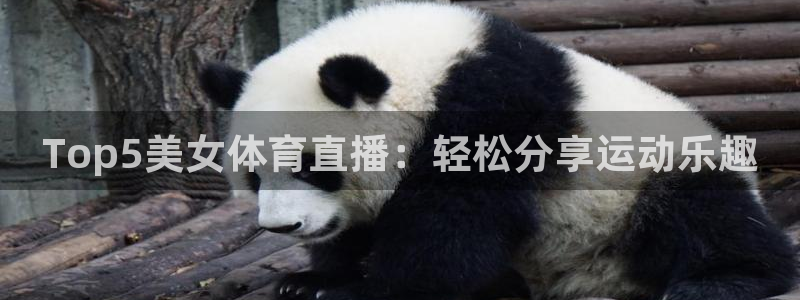 Top5美女体育直播：轻松分享运动乐趣