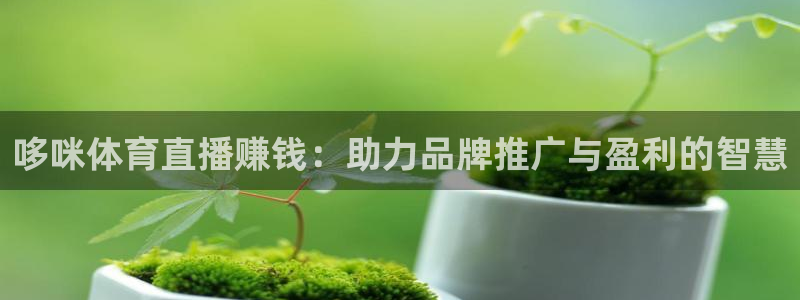 哆咪体育直播赚钱：助力品牌推广与盈利的智慧
